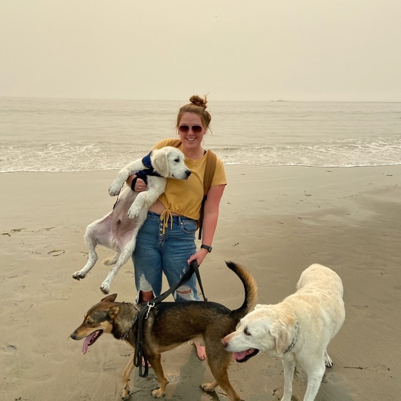 Meet your Posher, Katie-lauren - Picture 3 of 4